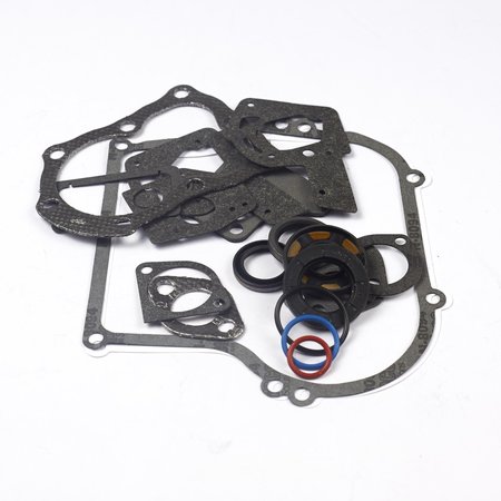 BRIGGS & STRATTON Engine Gasket Set 495603